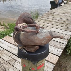 Canvasback